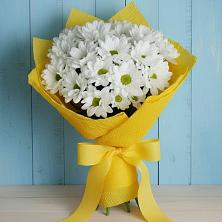 Букет цветов из:  Хризантемы в Шохово
