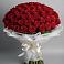 Букет 101 Красная роза Блэк Мэджик в Шохово