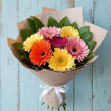 Букет цветов из:  Герберы в Шохово