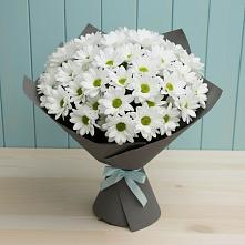 Букет цветов из:  Хризантемы в Шохово