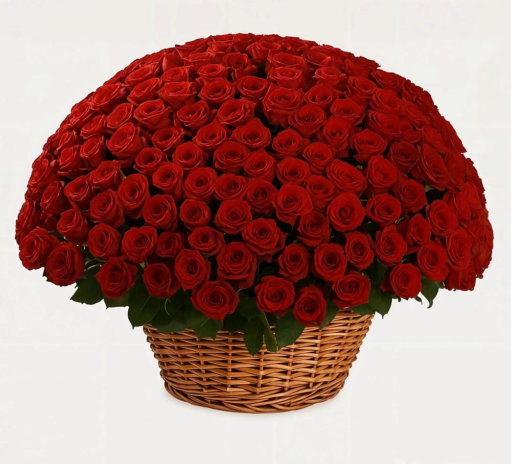 Премиум букет из: Розы в Шохово