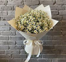 Букет цветов из:  Ромашки в Шохово