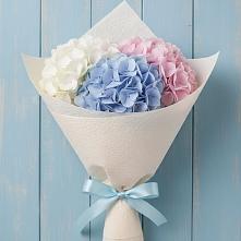 Букет цветов из:  Гортензия в Шохово