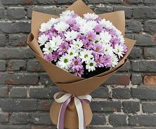 Букет цветов из:  Хризантемы в Шохово