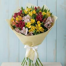 Букет цветов из:  Альстромерии в Шохово