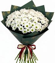 Букет цветов из:  Хризантемы в Шохово