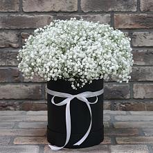 Цветочная композиция из Гипсофила в шляпной коробке в Шохово