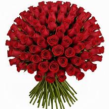 Букет Красные розы Чери Лав в Шохово