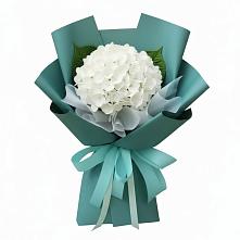 Букет цветов из:  Гортензия в Шохово